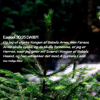 Picture 02 - Ezekiel 30:25 DA1871 - Og jeg vil styrke Kongen af Babels Arme, men - Bible Verse Picture