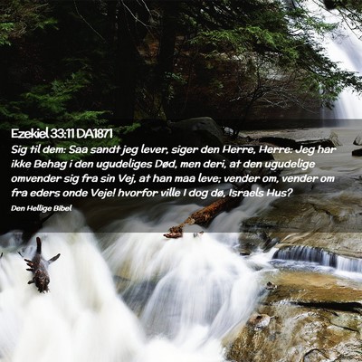 Picture 02 - Ezekiel 33:11 DA1871 - Sig til dem: Saa sandt jeg lever, siger den - Bible Verse Picture