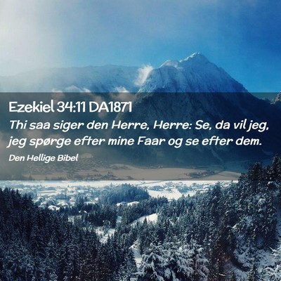 Picture 02 - Ezekiel 34:11 DA1871 - Thi saa siger den Herre, Herre: Se, da vil jeg, - Bible Verse Picture