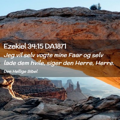 Picture 02 - Ezekiel 34:15 DA1871 - Jeg vil selv vogte mine Faar og selv lade dem - Bible Verse Picture
