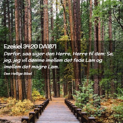 Picture 02 - Ezekiel 34:20 DA1871 - Derfor, saa siger den Herre, Herre til dem: Se, - Bible Verse Picture