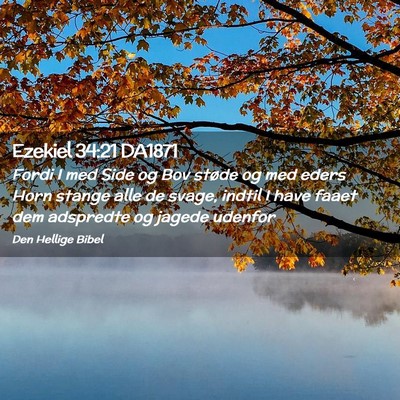 Picture 02 - Ezekiel 34:21 DA1871 - Fordi I med Side og Bov støde og med eders Horn - Bible Verse Picture
