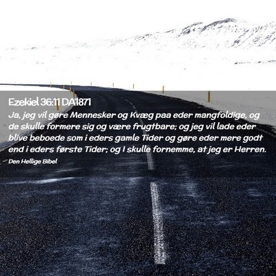 Picture 02 - Ezekiel 36:11 DA1871 - Ja, jeg vil gøre Mennesker og Kvæg paa eder - Bible Verse Picture