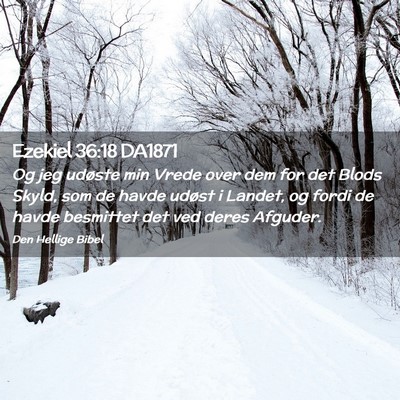 Picture 02 - Ezekiel 36:18 DA1871 - Og jeg udøste min Vrede over dem for det Blods - Bible Verse Picture