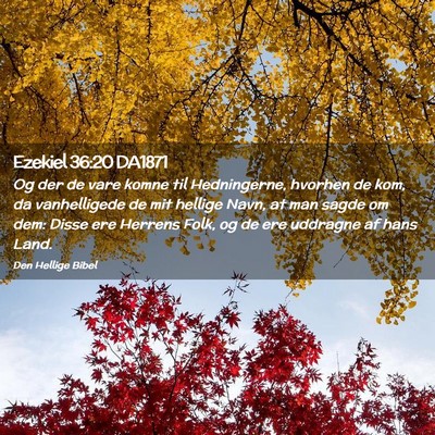 Picture 02 - Ezekiel 36:20 DA1871 - Og der de vare komne til Hedningerne, hvorhen de - Bible Verse Picture