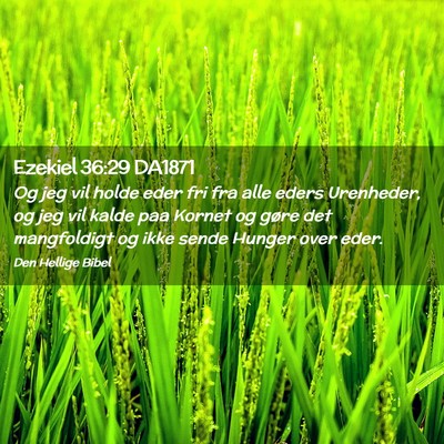 Picture 02 - Ezekiel 36:29 DA1871 - Og jeg vil holde eder fri fra alle eders - Bible Verse Picture