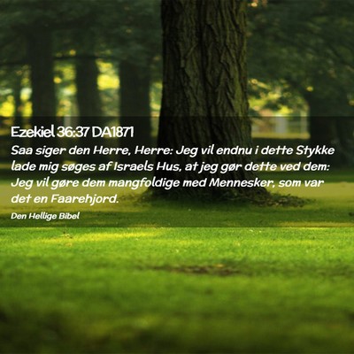 Picture 02 - Ezekiel 36:37 DA1871 - Saa siger den Herre, Herre: Jeg vil endnu i dette - Bible Verse Picture