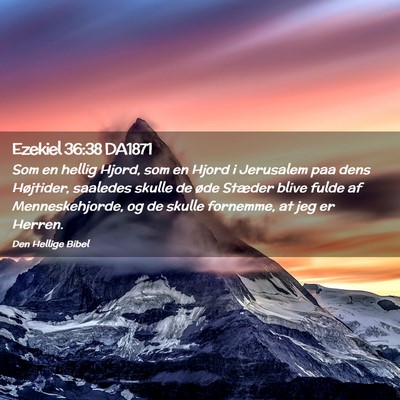 Picture 02 - Ezekiel 36:38 DA1871 - Som en hellig Hjord, som en Hjord i Jerusalem paa - Bible Verse Picture