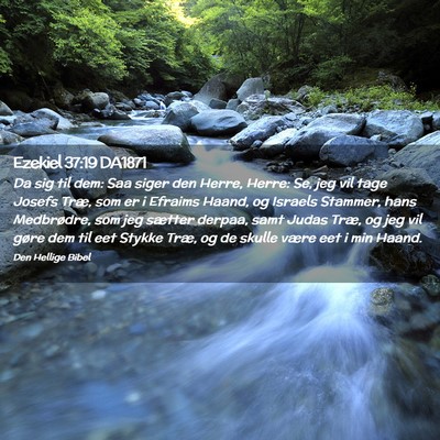 Picture 02 - Ezekiel 37:19 DA1871 - Da sig til dem: Saa siger den Herre, Herre: Se, - Bible Verse Picture