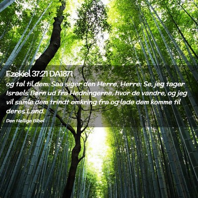 Picture 02 - Ezekiel 37:21 DA1871 - og tal til dem: Saa siger den Herre, Herre: Se, - Bible Verse Picture