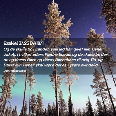 Picture 02 - Ezekiel 37:25 DA1871 - Og de skulle bo i Landet, som jeg har givet min - Bible Verse Picture