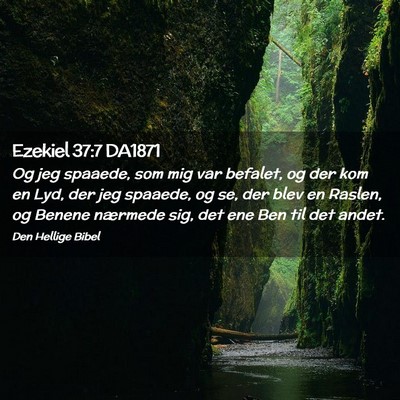 Picture 02 - Ezekiel 37:7 DA1871 - Og jeg spaaede, som mig var befalet, og der kom - Bible Verse Picture