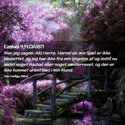 Picture 02 - Ezekiel 4:14 DA1871 - Men jeg sagde: Ak! Herre, Herre! se, min Sjæl er - Bible Verse Picture