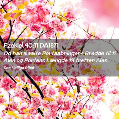 Picture 02 - Ezekiel 40:11 DA1871 - Og han maalte Portaabningens Bredde til ti Alen - Bible Verse Picture