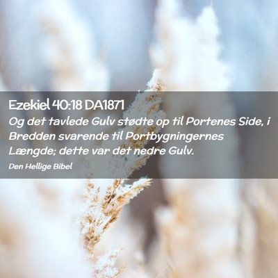 Picture 02 - Ezekiel 40:18 DA1871 - Og det tavlede Gulv stødte op til Portenes Side, - Bible Verse Picture
