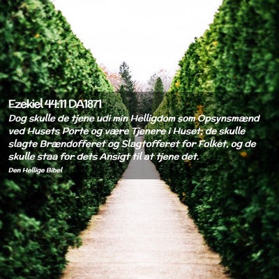 Picture 02 - Ezekiel 44:11 DA1871 - Dog skulle de tjene udi min Helligdom som - Bible Verse Picture