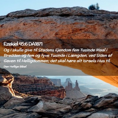 Picture 02 - Ezekiel 45:6 DA1871 - Og I skulle give til Stadens Ejendom fem Tusinde - Bible Verse Picture
