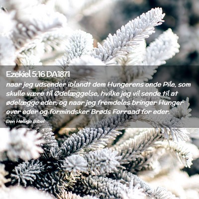 Picture 02 - Ezekiel 5:16 DA1871 - naar jeg udsender iblandt dem Hungerens onde - Bible Verse Picture