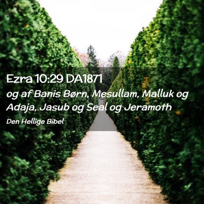 Picture 02 - Ezra 10:29 DA1871 - og af Banis Børn, Mesullam, Malluk og Adaja, - Bible Verse Picture