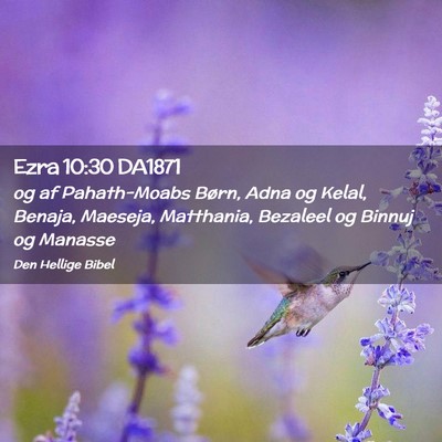 Picture 02 - Ezra 10:30 DA1871 - og af Pahath-Moabs Børn, Adna og Kelal, Benaja, - Bible Verse Picture