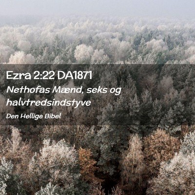 Picture 02 - Ezra 2:22 DA1871 - Nethofas Mænd, seks og - Bible Verse Picture