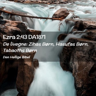 Picture 02 - Ezra 2:43 DA1871 - De livegne: Zihas Børn, Hasufas Børn, Tabaoths - Bible Verse Picture