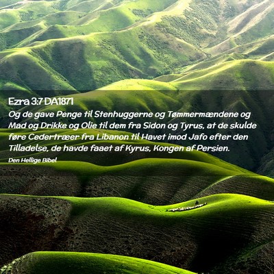 Picture 02 - Ezra 3:7 DA1871 - Og de gave Penge til Stenhuggerne og - Bible Verse Picture