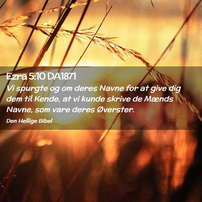 Picture 02 - Ezra 5:10 DA1871 - Vi spurgte og om deres Navne for at give dig dem - Bible Verse Picture