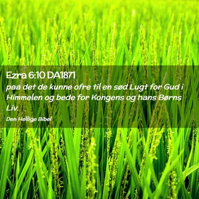 Picture 02 - Ezra 6:10 DA1871 - paa det de kunne ofre til en sød Lugt for Gud i - Bible Verse Picture