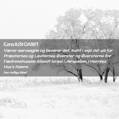 Picture 02 - Ezra 8:29 DA1871 - Værer aarvaagne og bevarer det, indtil I veje - Bible Verse Picture