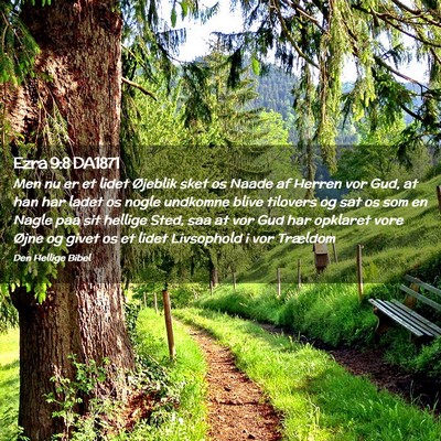 Picture 02 - Ezra 9:8 DA1871 - Men nu er et lidet Øjeblik sket os Naade af - Bible Verse Picture