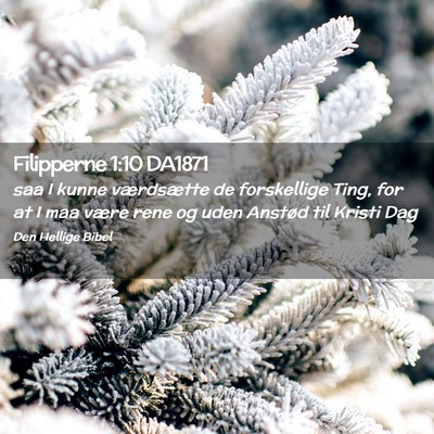 Picture 02 - Filipperne 1:10 DA1871 - saa I kunne værdsætte de forskellige Ting, for - Bible Verse Picture