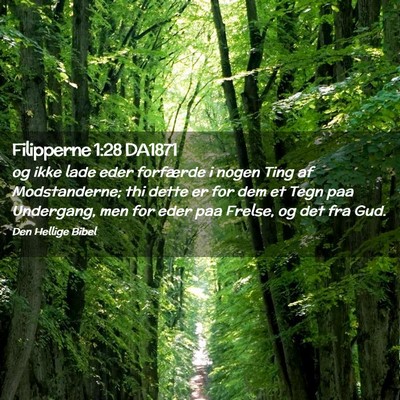 Picture 02 - Filipperne 1:28 DA1871 - og ikke lade eder forfærde i nogen Ting af - Bible Verse Picture