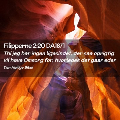Picture 02 - Filipperne 2:20 DA1871 - Thi jeg har ingen ligesindet, der saa oprigtig - Bible Verse Picture
