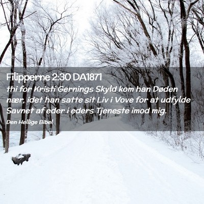 Picture 02 - Filipperne 2:30 DA1871 - thi for Kristi Gernings Skyld kom han Døden - Bible Verse Picture