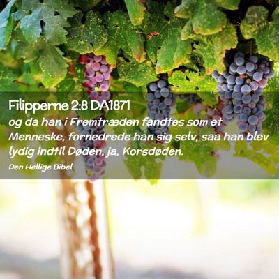 Picture 02 - Filipperne 2:8 DA1871 - og da han i Fremtræden fandtes som et Menneske, - Bible Verse Picture