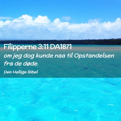 Picture 02 - Filipperne 3:11 DA1871 - om jeg dog kunde naa til Opstandelsen fra de - Bible Verse Picture