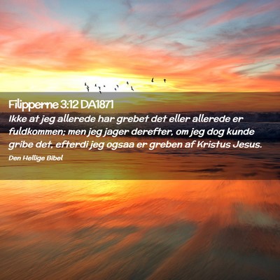 Picture 02 - Filipperne 3:12 DA1871 - Ikke at jeg allerede har grebet det eller - Bible Verse Picture