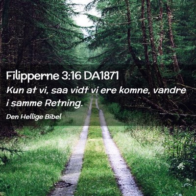 Picture 02 - Filipperne 3:16 DA1871 - Kun at vi, saa vidt vi ere komne, vandre i samme - Bible Verse Picture