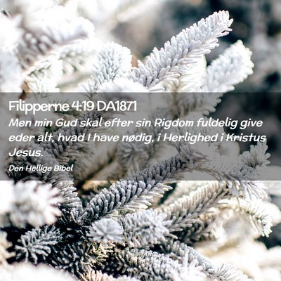 Picture 02 - Filipperne 4:19 DA1871 - Men min Gud skal efter sin Rigdom fuldelig give - Bible Verse Picture