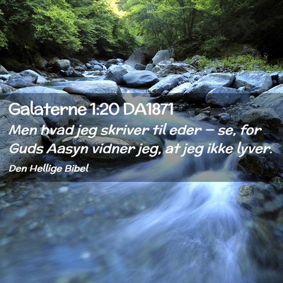 Picture 02 - Galaterne 1:20 DA1871 - Men hvad jeg skriver til eder — se, for Guds - Bible Verse Picture