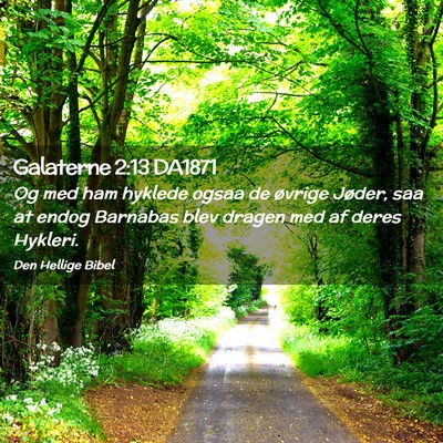 Picture 02 - Galaterne 2:13 DA1871 - Og med ham hyklede ogsaa de øvrige Jøder, saa - Bible Verse Picture