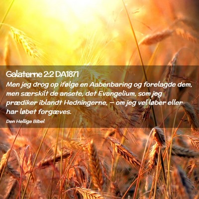Picture 02 - Galaterne 2:2 DA1871 - Men jeg drog op ifølge en Aabenbaring og - Bible Verse Picture