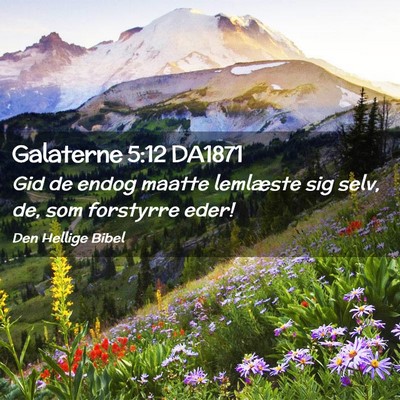 Picture 02 - Galaterne 5:12 DA1871 - Gid de endog maatte lemlæste sig selv, de, som - Bible Verse Picture