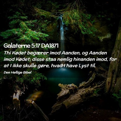 Picture 02 - Galaterne 5:17 DA1871 - Thi Kødet begærer imod Aanden, og Aanden imod - Bible Verse Picture