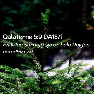 Picture 02 - Galaterne 5:9 DA1871 - En liden Surdejg syrer hele - Bible Verse Picture