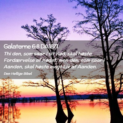 Picture 02 - Galaterne 6:8 DA1871 - Thi den, som saar i sit Kød, skal høste - Bible Verse Picture