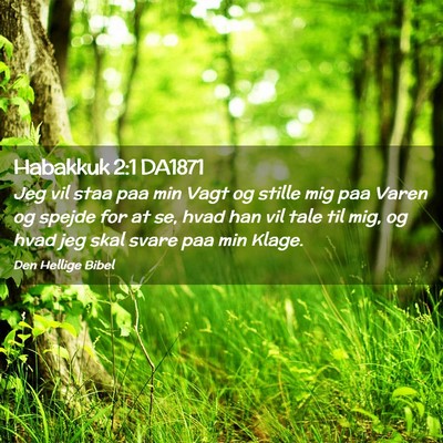 Picture 02 - Habakkuk 2:1 DA1871 - Jeg vil staa paa min Vagt og stille mig paa Varen - Bible Verse Picture