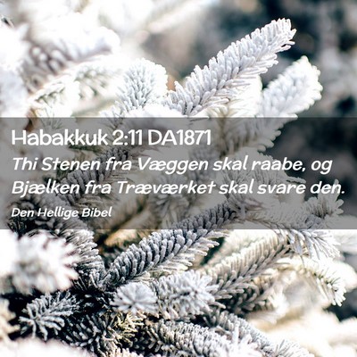 Picture 02 - Habakkuk 2:11 DA1871 - Thi Stenen fra Væggen skal raabe, og Bjælken - Bible Verse Picture