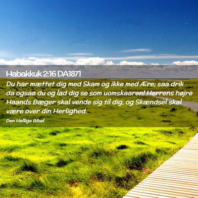 Picture 02 - Habakkuk 2:16 DA1871 - Du har mættet dig med Skam og ikke med Ære; saa - Bible Verse Picture